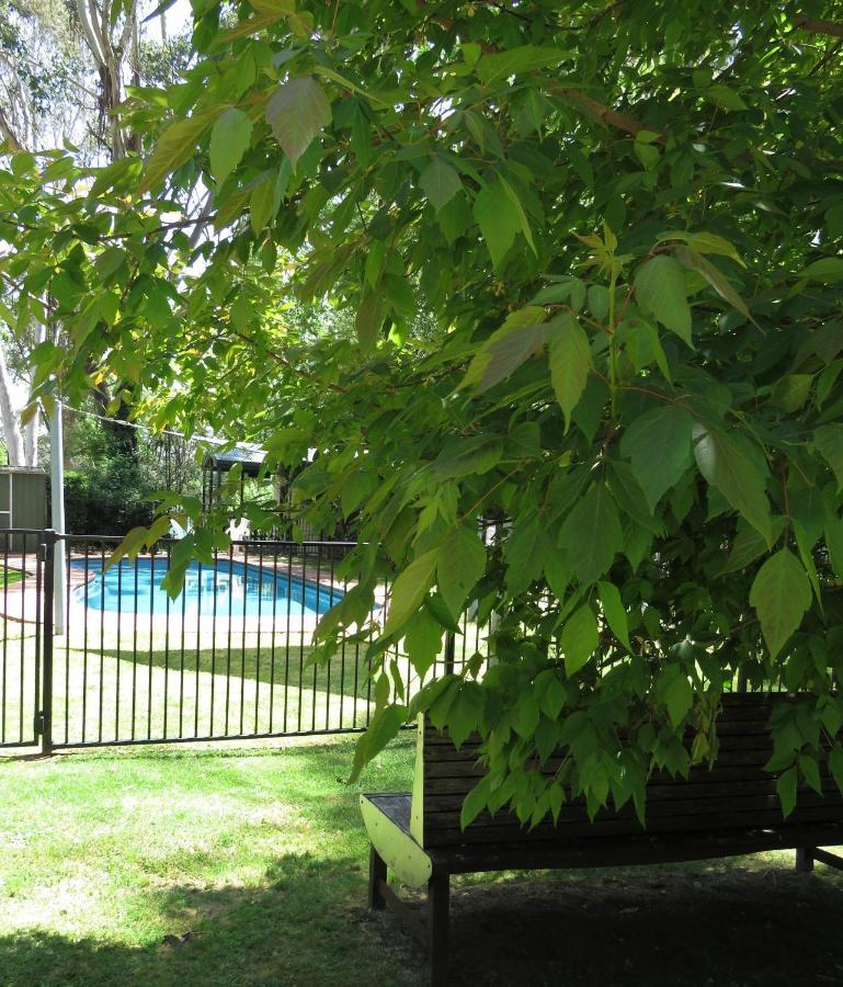 Beechworth Holiday Park Exteriér fotografie